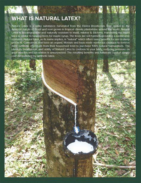 Los Angeles Natural Mattress store in LA